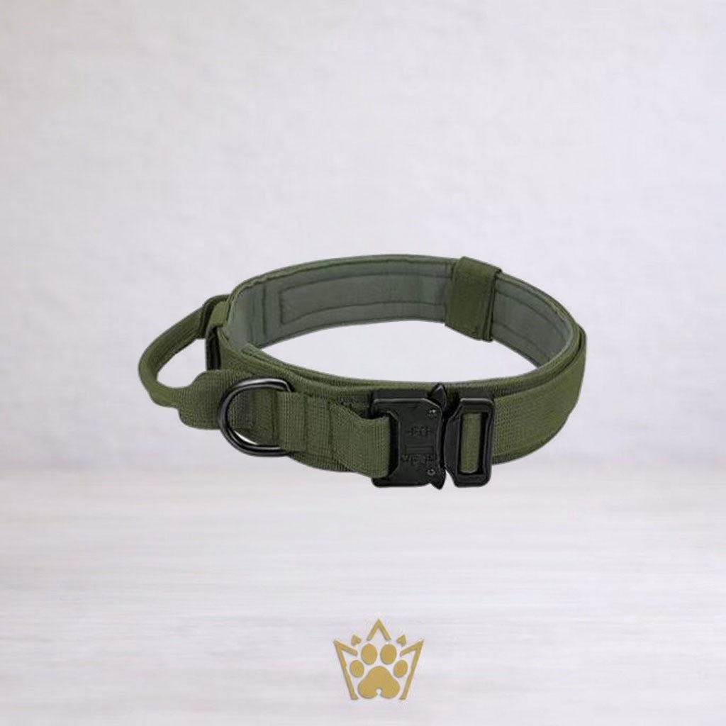 Collar Táctico - The Royal Pet Club
