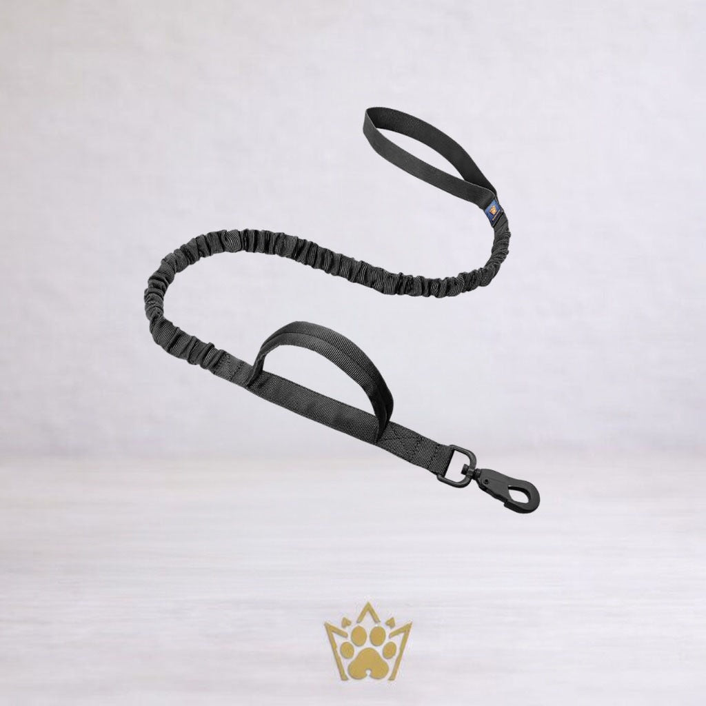Correa Táctica con Bungee – The Royal Pet Club