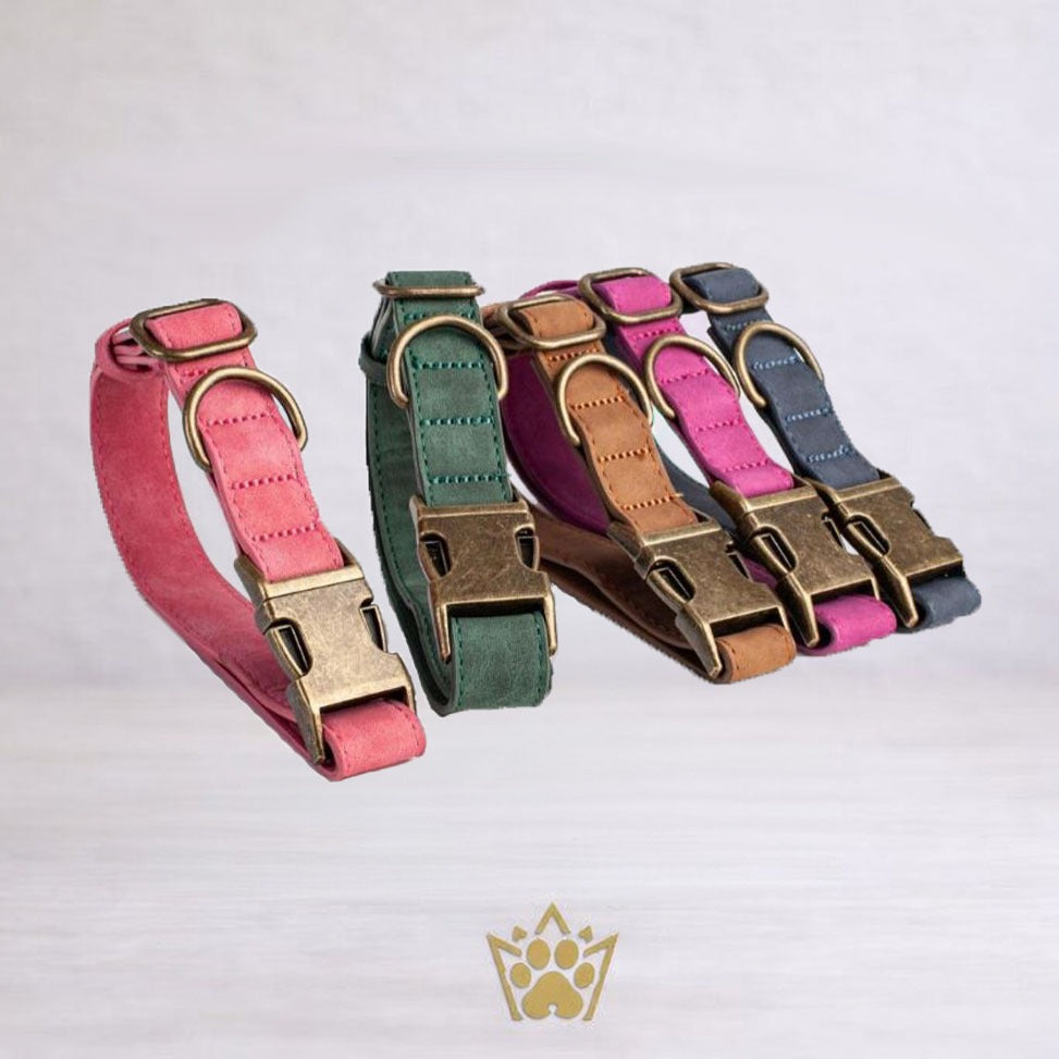 Collar Vintage – The Royal Pet Club
