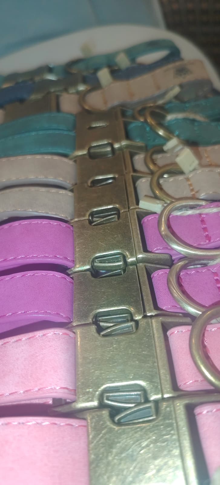 Collar Vintage – The Royal Pet Club